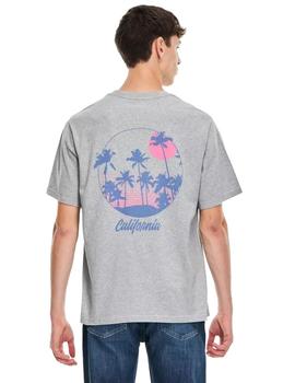 Camiseta Levis Surf Club Hombre Gris