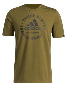 Camiseta Manga Corta Adidas M Skt Emb Gt Focoli Hombre Verde