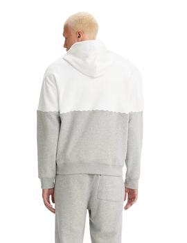 Sudadera Con Capucha Levis Relaxed Graphic Hombre Gris