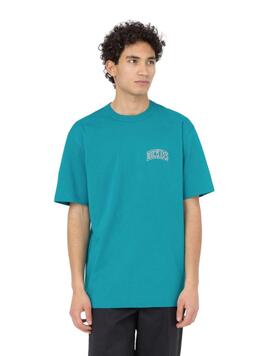 Camiseta Dickies Aitkin Hombre Verde