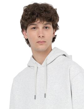 Sudadera Con Capucha Summerdale Hombre Gris