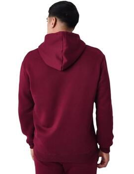 Sudadera Con Capucha ProjectxParis Unisex Burdeos