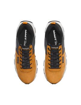 Zapatilla Timberland Winsor Trail Low Hombre Camel