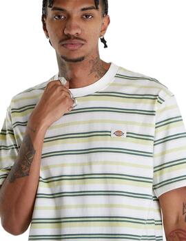 Camiseta Dickies Glade Spring Hombre Multicolor