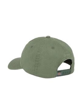 Gorra Dickies Hardwick Dark Forest Hombre Verde