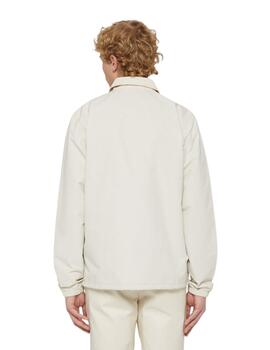 Chaqueta Dickies Oakport Coach Hombre Beige