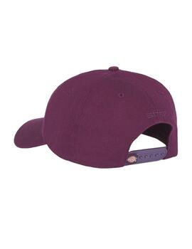 Gorra Dickies Hardwick Plum Perfect Unisex