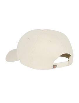 Gorra Dickies Hardwick Whitecap Gray Unisex