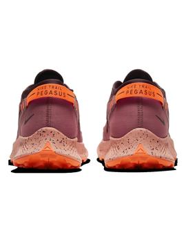 Pegasus Trail 2