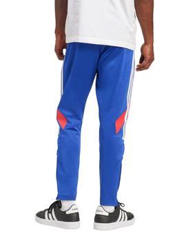 Pantalón House Of Tiro Nations Hombre Azul