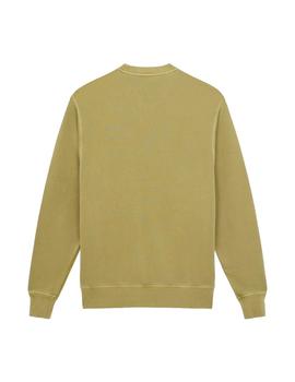 Sudadera Dickies Plentywood Hombre Verde