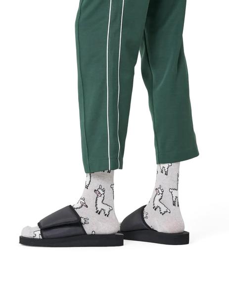 Gallery a15993 rregwsyb