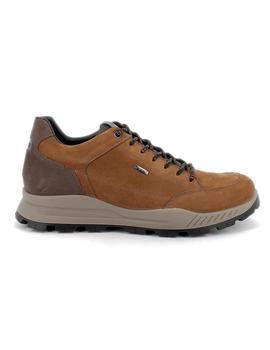 Zapatillas IGI & CO Nabuk Hombre Marrón