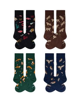 Calcetines Jimmy  Lion  Night  Collection Unisex Multicolor
