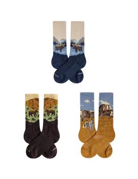 Calcetines Jimmy Lion Athetic Wild  Packs Unisex Multicolor